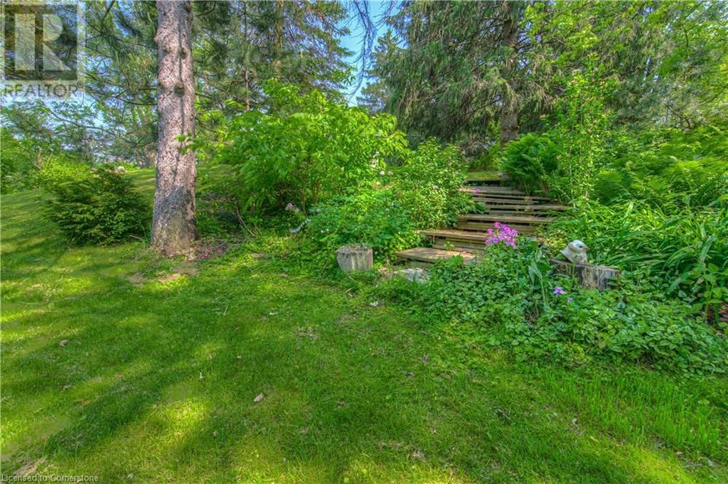1824 OLD MILL ROAD Image 6