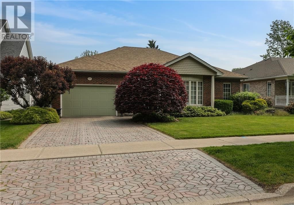 Primary Property View