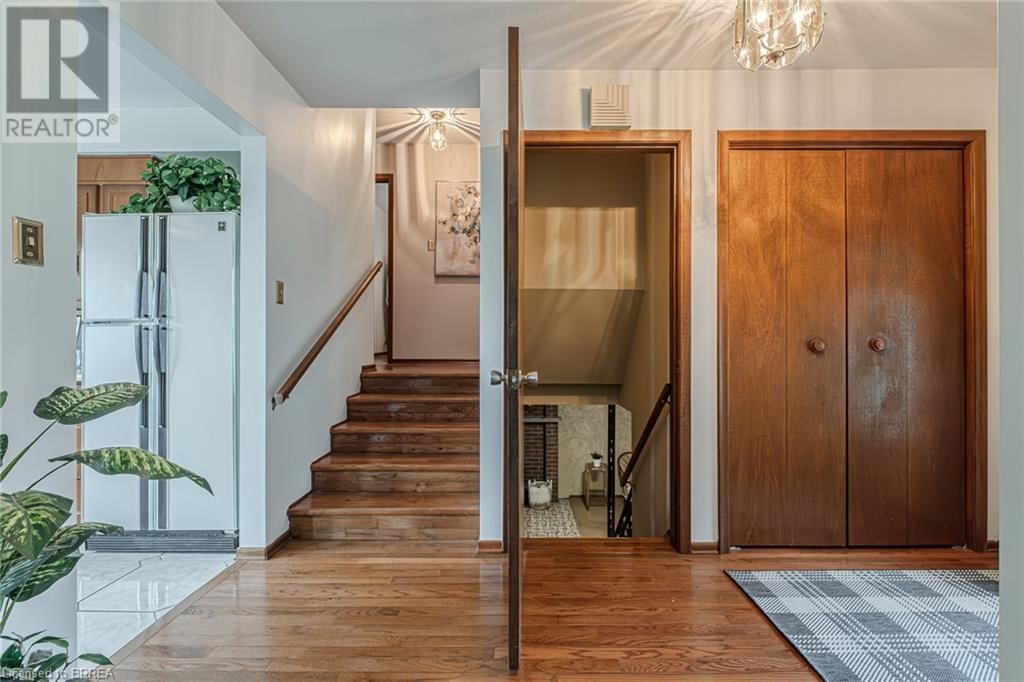 5 PIPPIN DRIVE Image 22