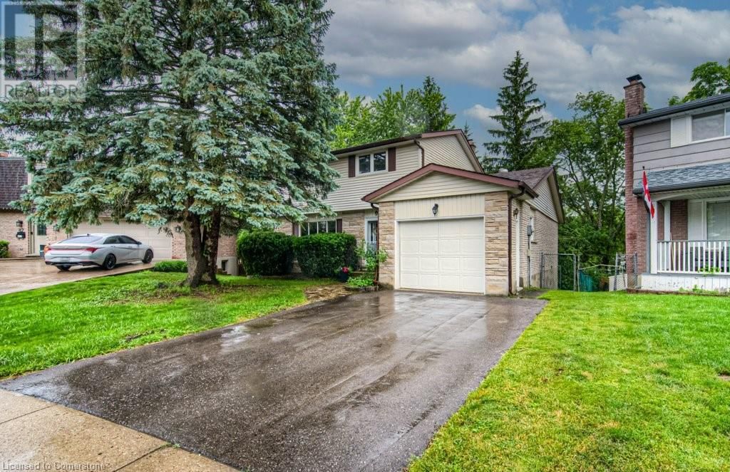 Primary Property View