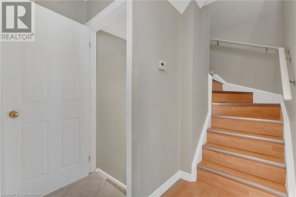 54 - 75 VENTURA DRIVE Image 16