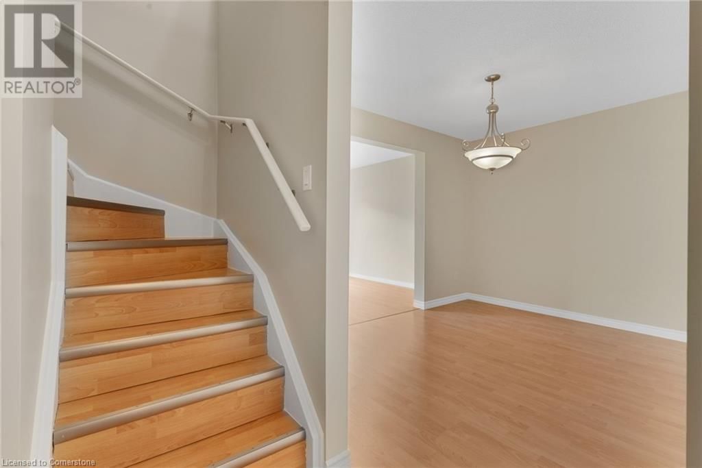 54 - 75 VENTURA DRIVE Image 7
