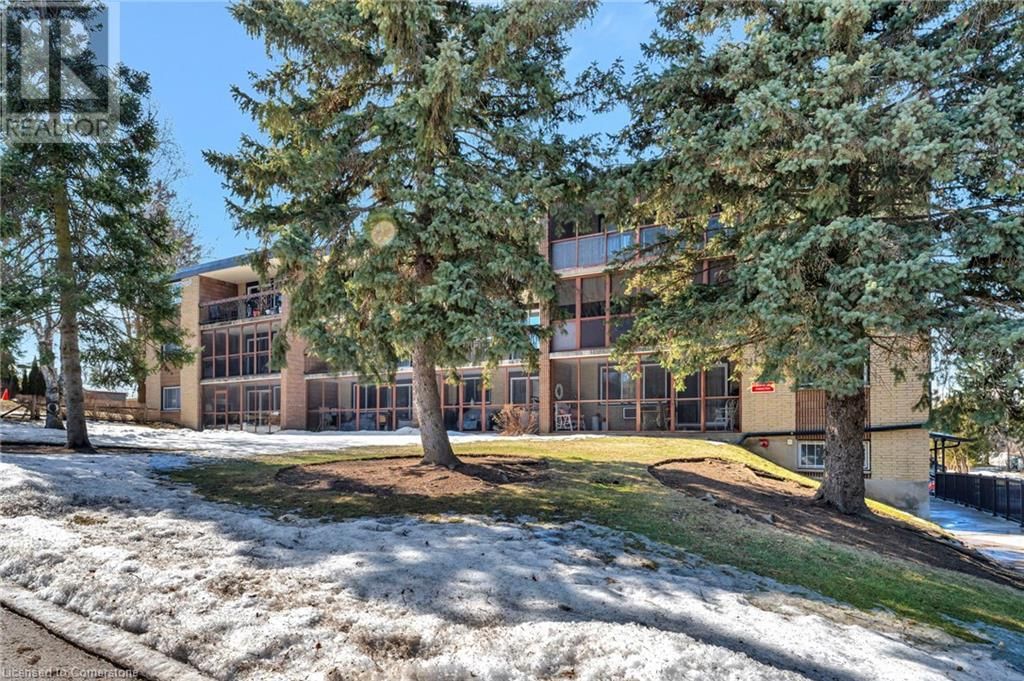Primary Property View