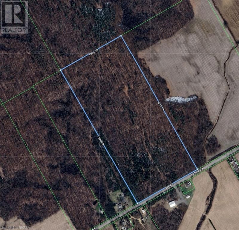 Primary Property View