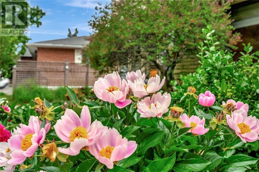152 SAN PEDRO DRIVE Image 29