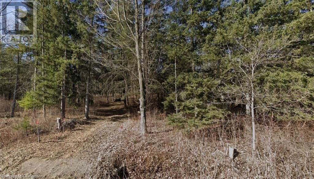 SHELLARD ROAD Image 5