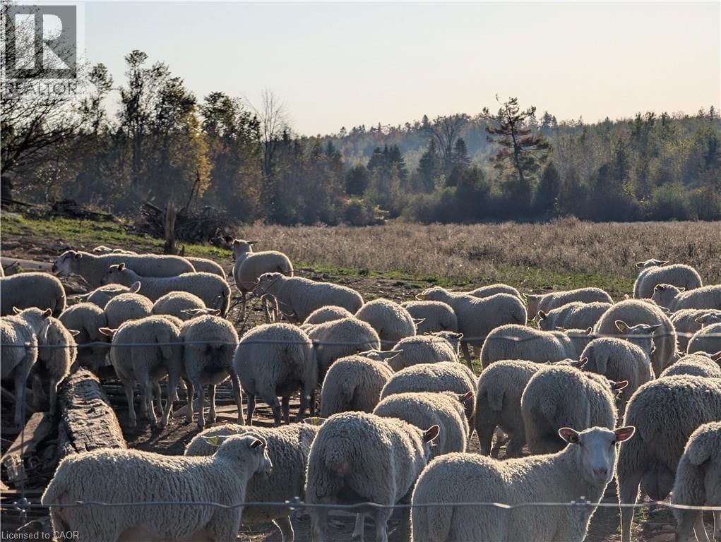 229 CREEK VIEW ROAD Image 2