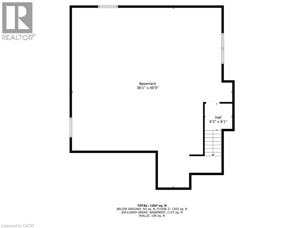 142 ELLEN STREET Image 44