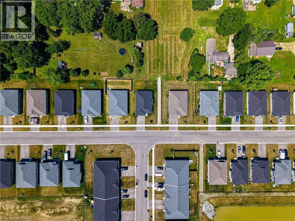 142 ELLEN STREET Image 5