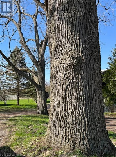 Image #1 of Commercial for Sale at 97 Regional, Hamilton, Ontario