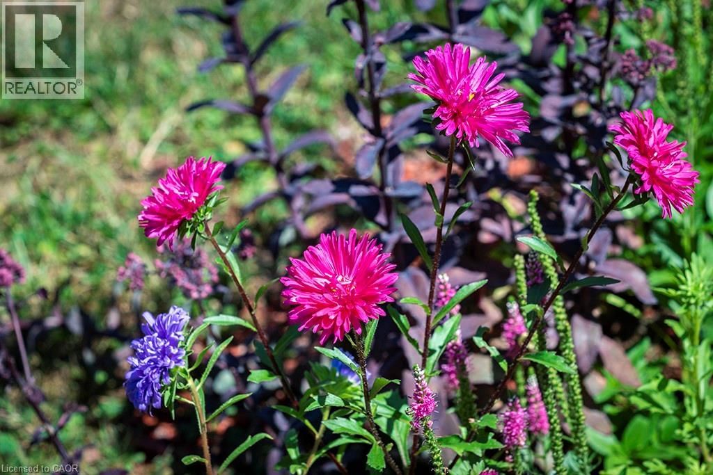 144 CANTERBURY STREET Image 37