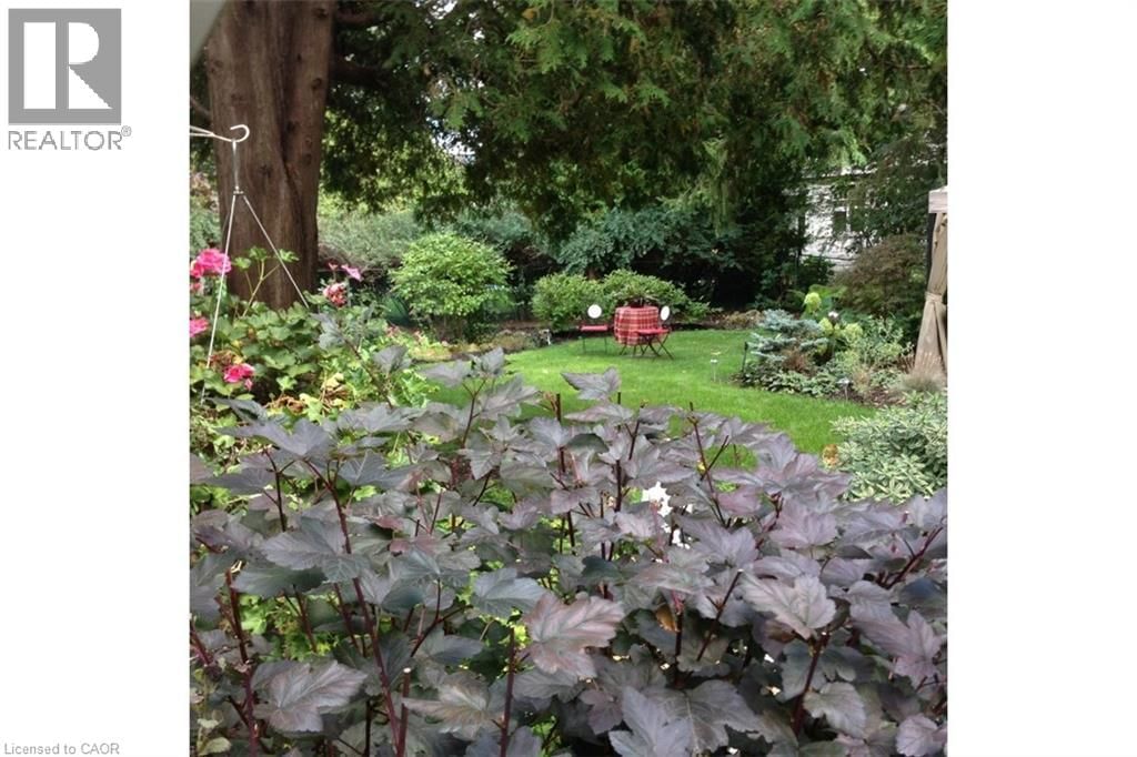 263 HART AVENUE Image 35