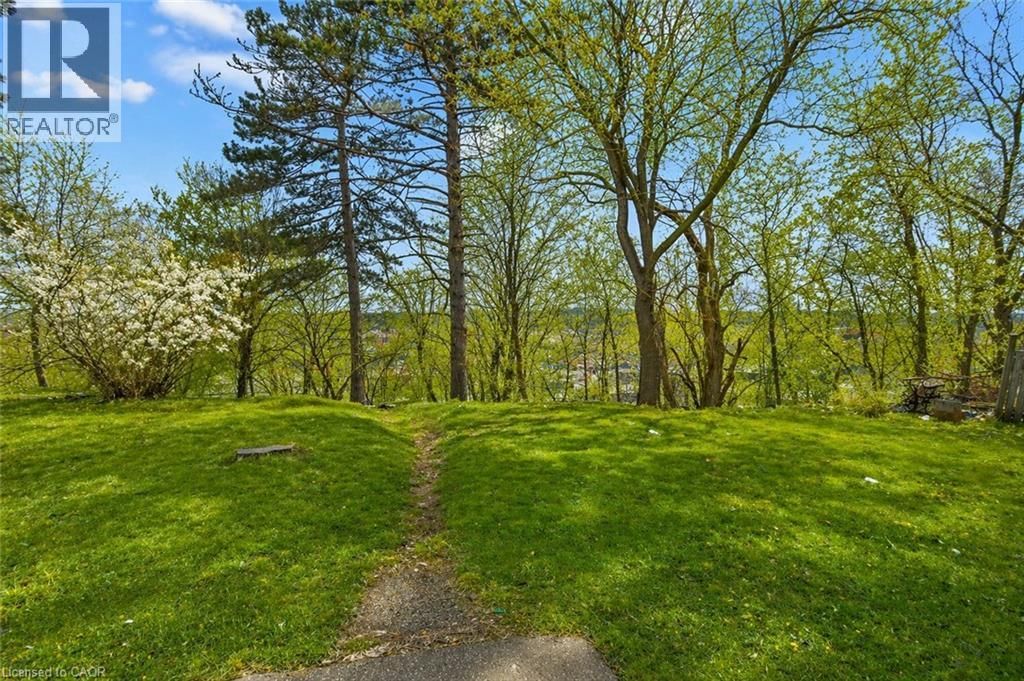 20 ELLIOTT STREET Image 6