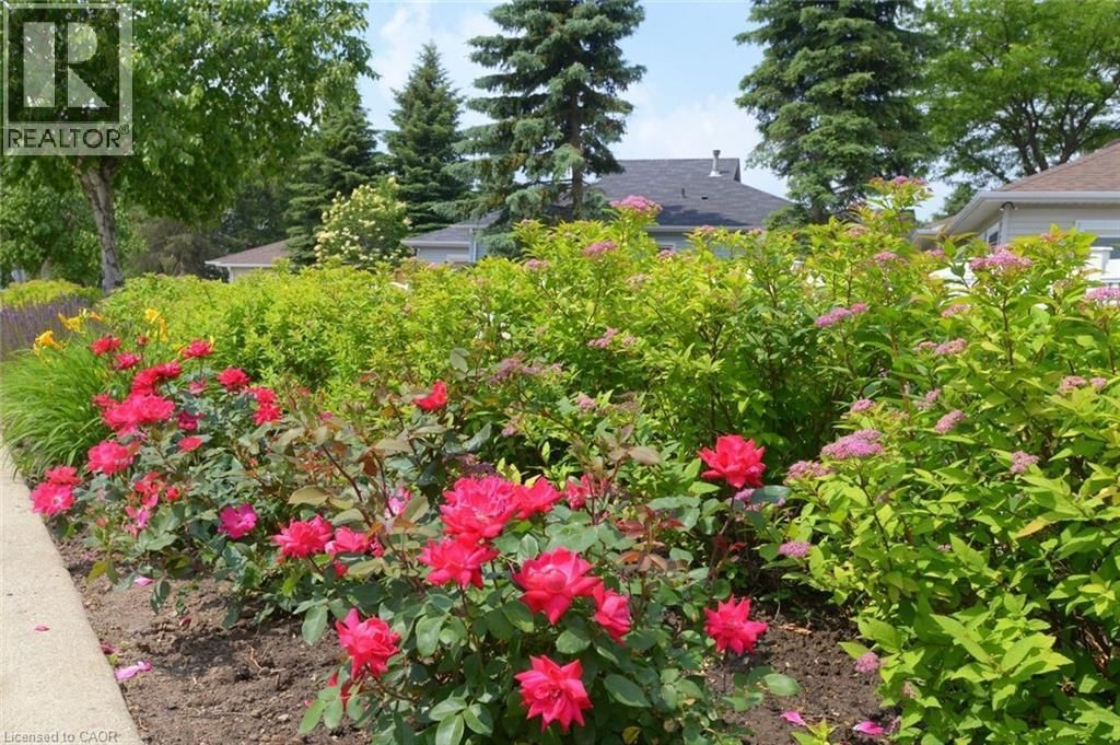 306 - 500 SILVERBIRCH BOULEVARD Image 16