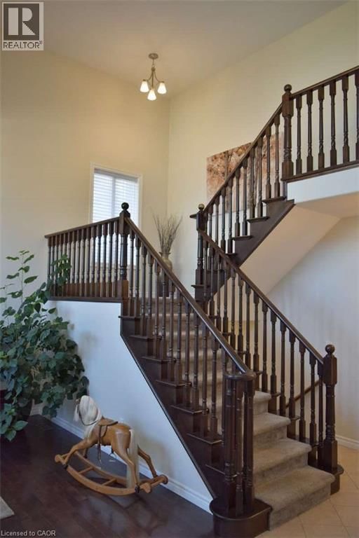 50 FERRIS DRIVE Image 5