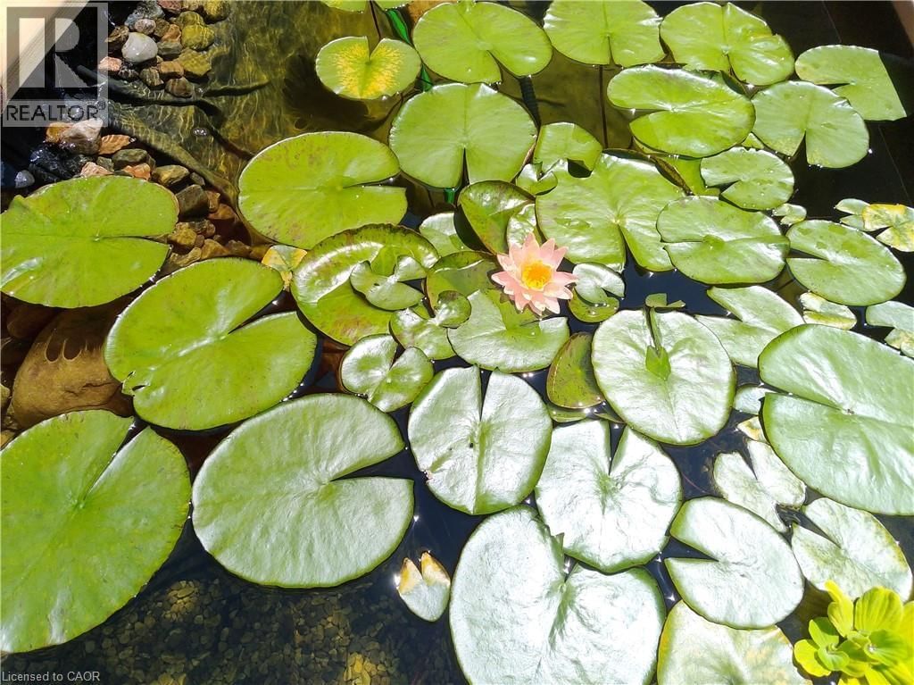 395 MAIDSTONE CRESCENT Image 48