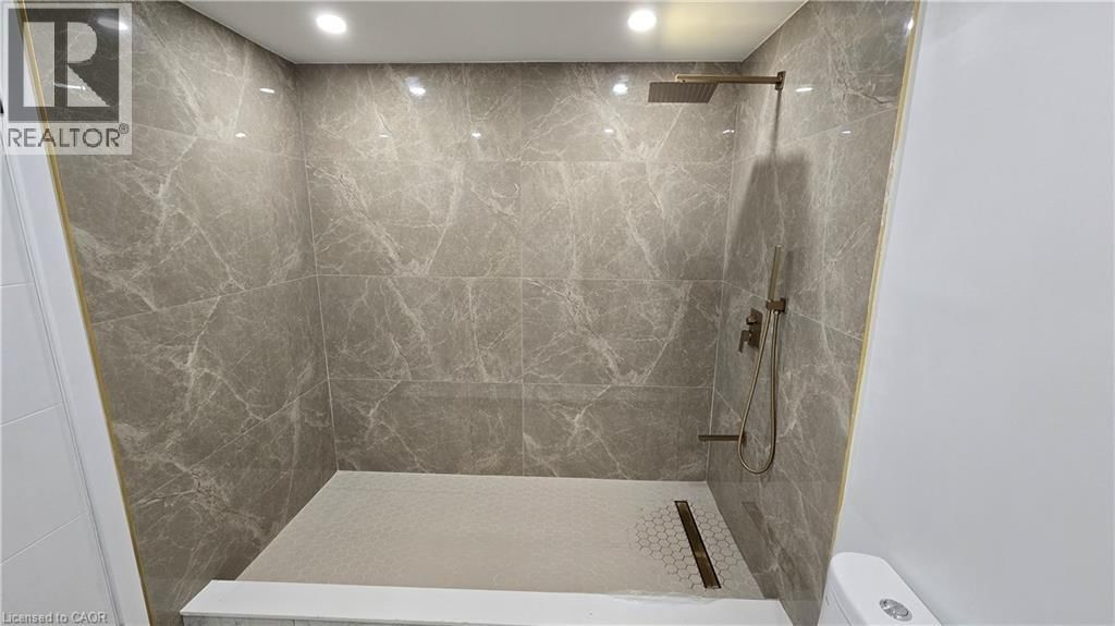 Lower - 7266 SILVER CREEK CIRCLE Image 12