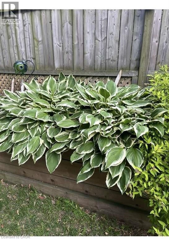 735 BEACH BOULEVARD Image 7