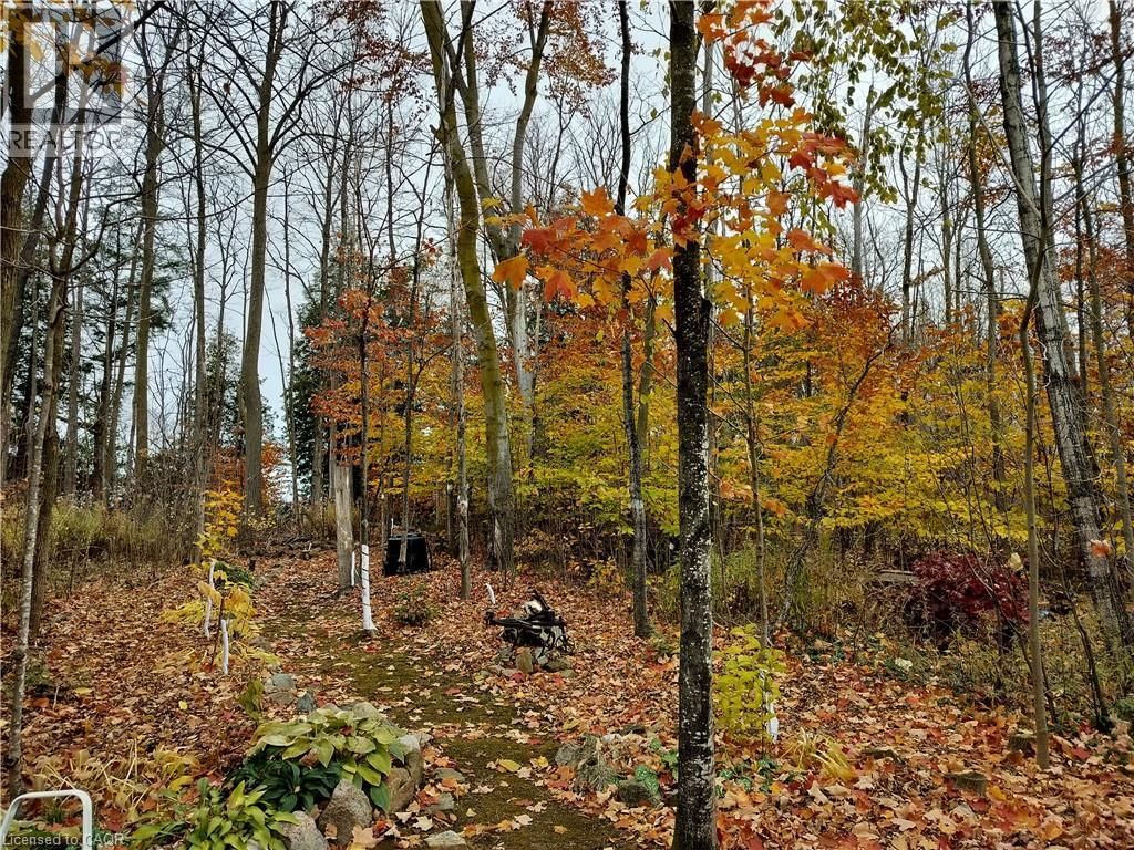 10 - 20 FORREST AVENUE WEST Image 38