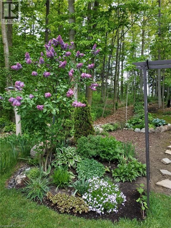 10 - 20 FORREST AVENUE WEST Image 41