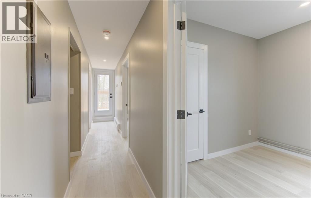 67 LOUISA STREET Image 8