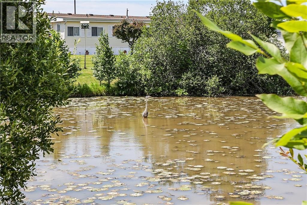 11 - 3033 TOWNLINE ROAD Image 42