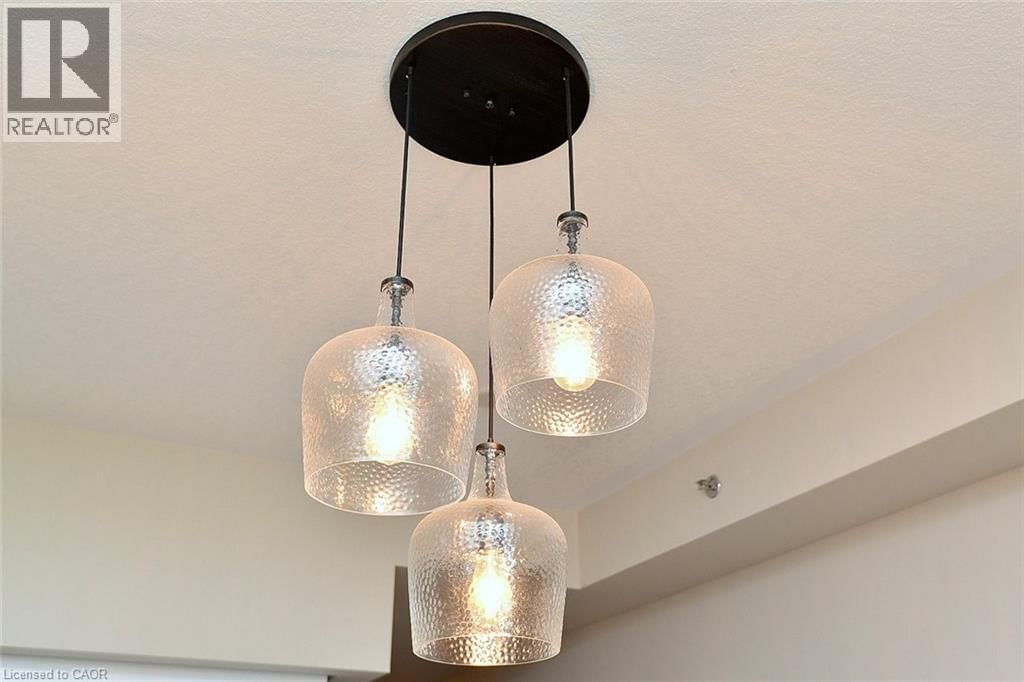 317 - 2486 OLD BRONTE ROAD Image 11