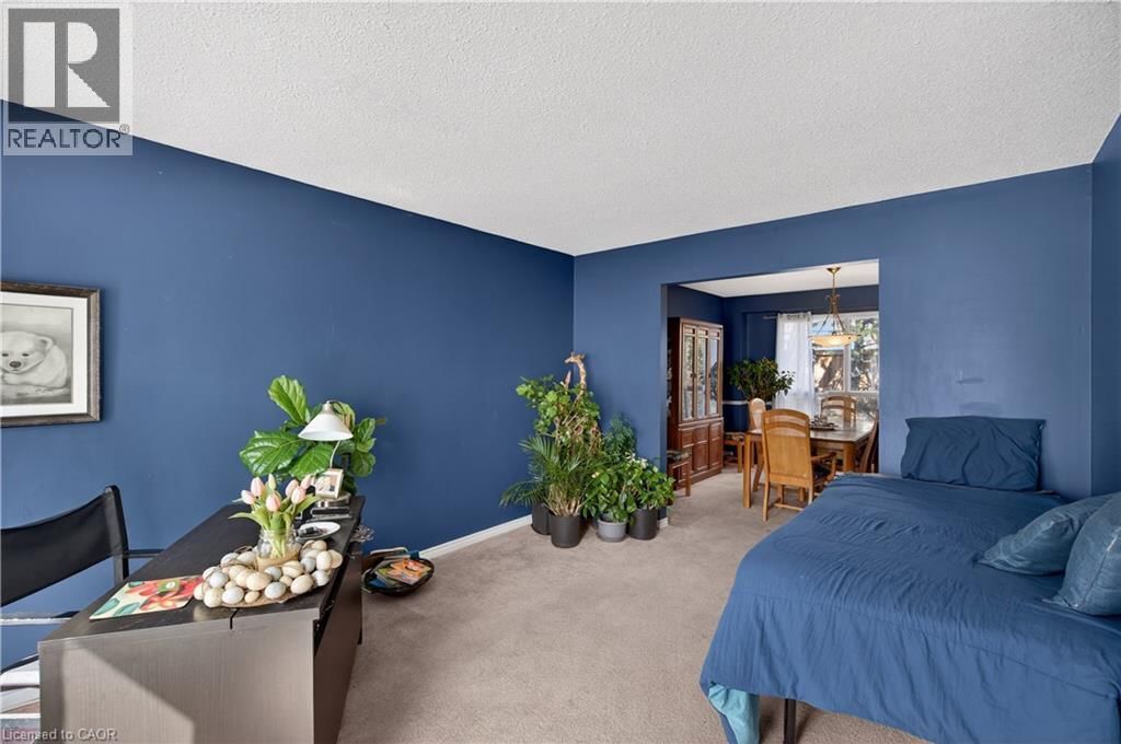 11 GIFFIN ROAD Image 8