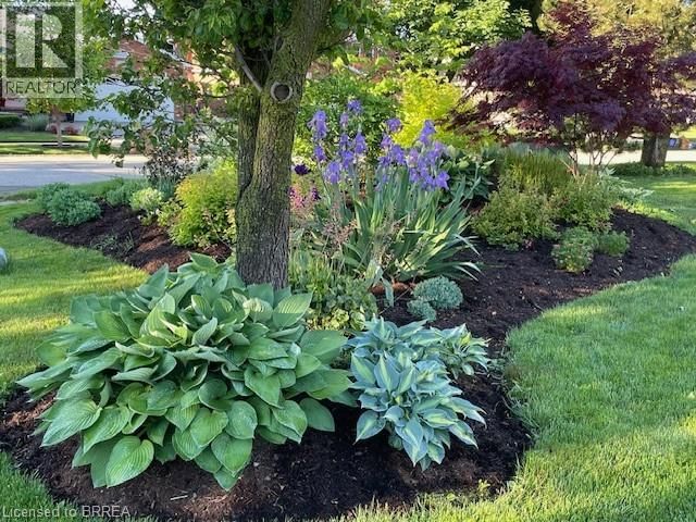 1 DAFFODIL COURT Image 42