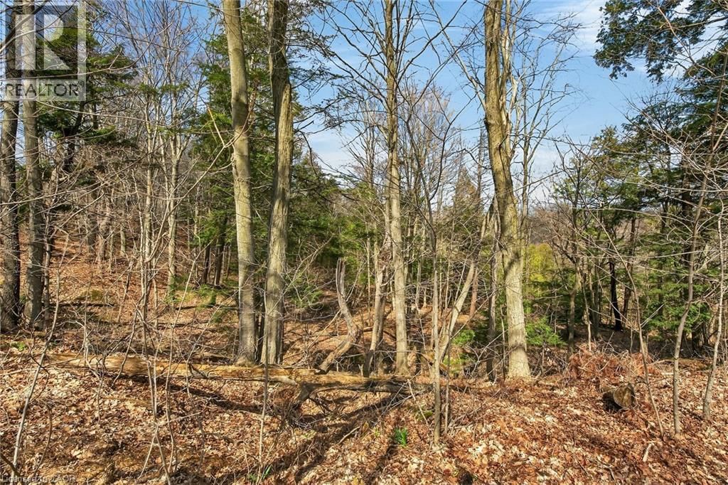 117 WILLOWDALE CRESCENT Image 44