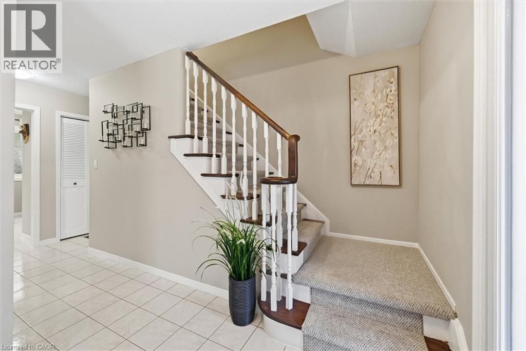 62 TERRACE DRIVE Image 24