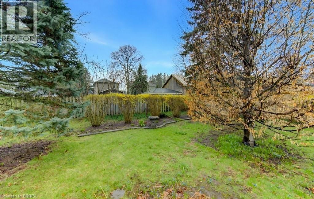 416 MARGARET STREET Image 26