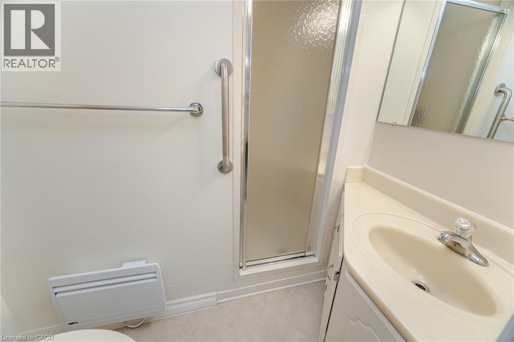 201 - 166 MOUNTAIN PARK AVENUE Image 20