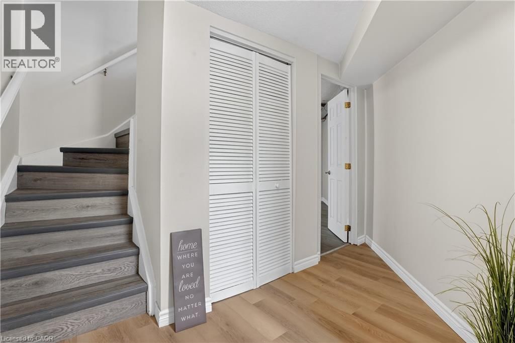 66 - 60 ELMSDALE DRIVE Image 3