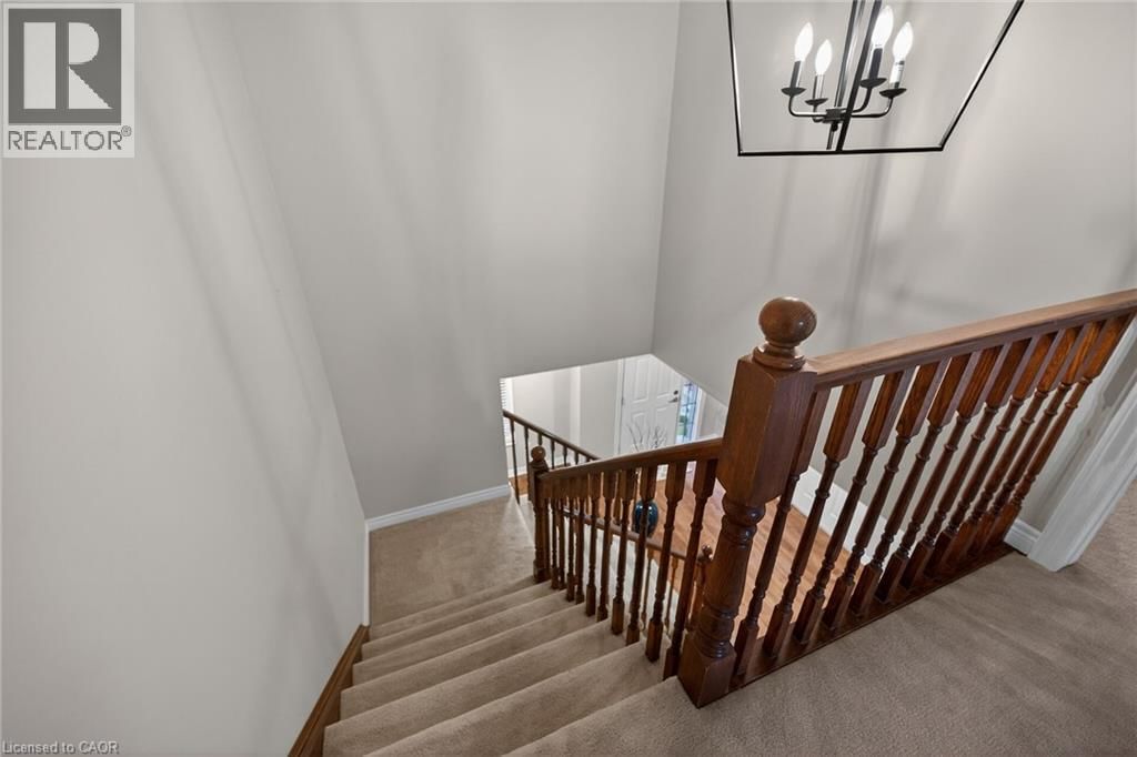 31 - 25 HAMILTON STREET SOUTH Image 23