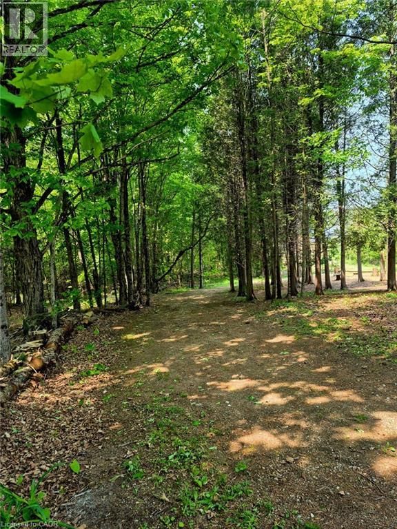 1719 WESLEMKOON LAKE ROAD Image 36