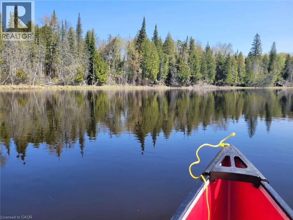 1719 WESLEMKOON LAKE ROAD Image 7