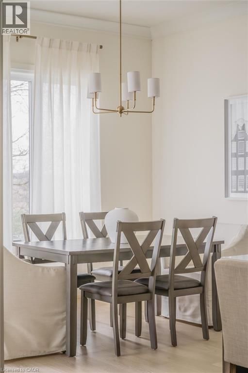 24 DAVID STREET Image 20