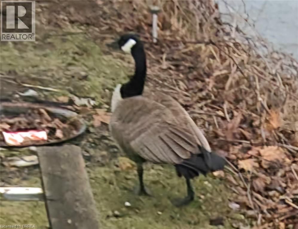 26 WILLOW STREET Image 50