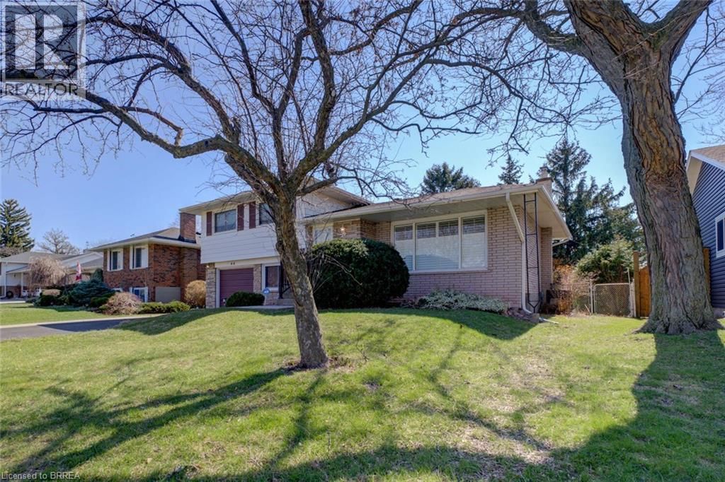 44 RAYNE AVENUE Image 5