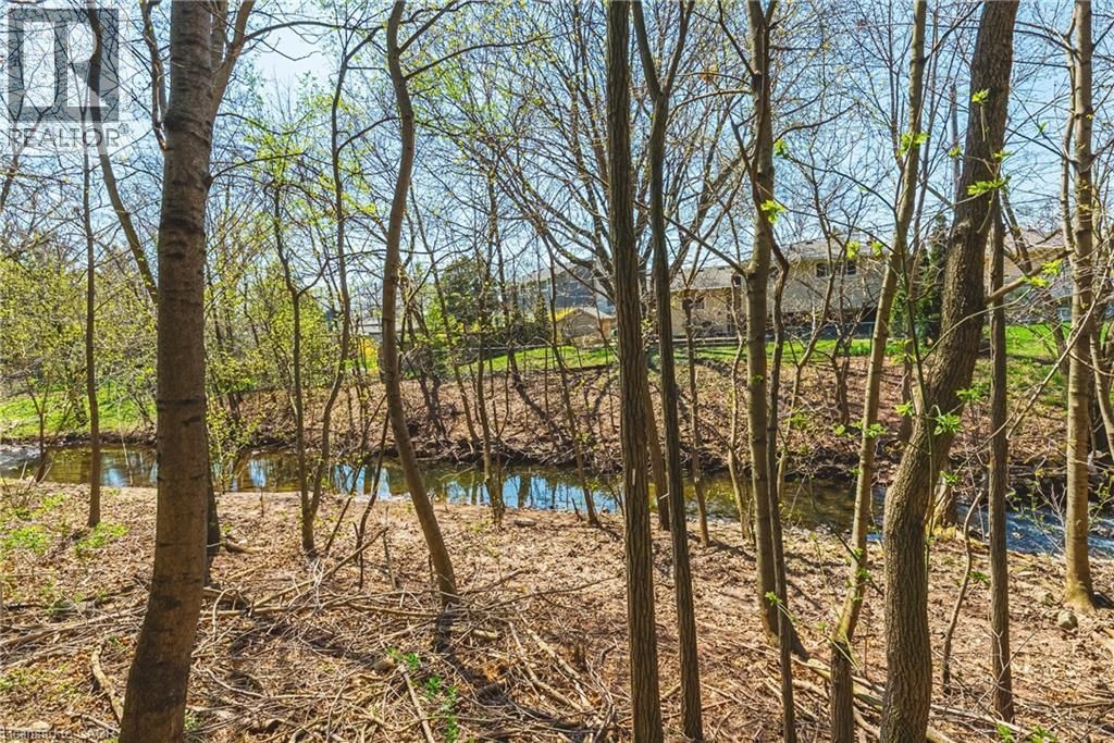 668 CHESTNUT PLACE Image 30