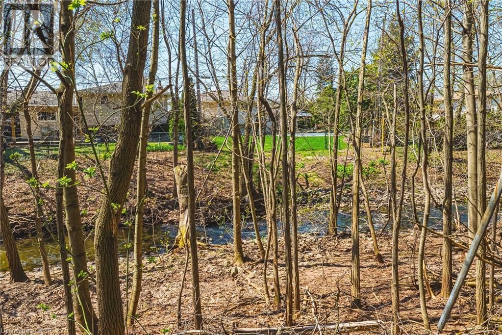 668 CHESTNUT PLACE Image 31