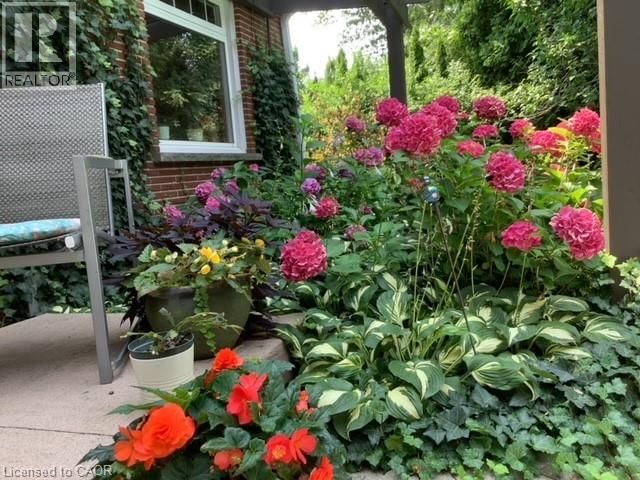 587 SHARALIN COURT Image 50