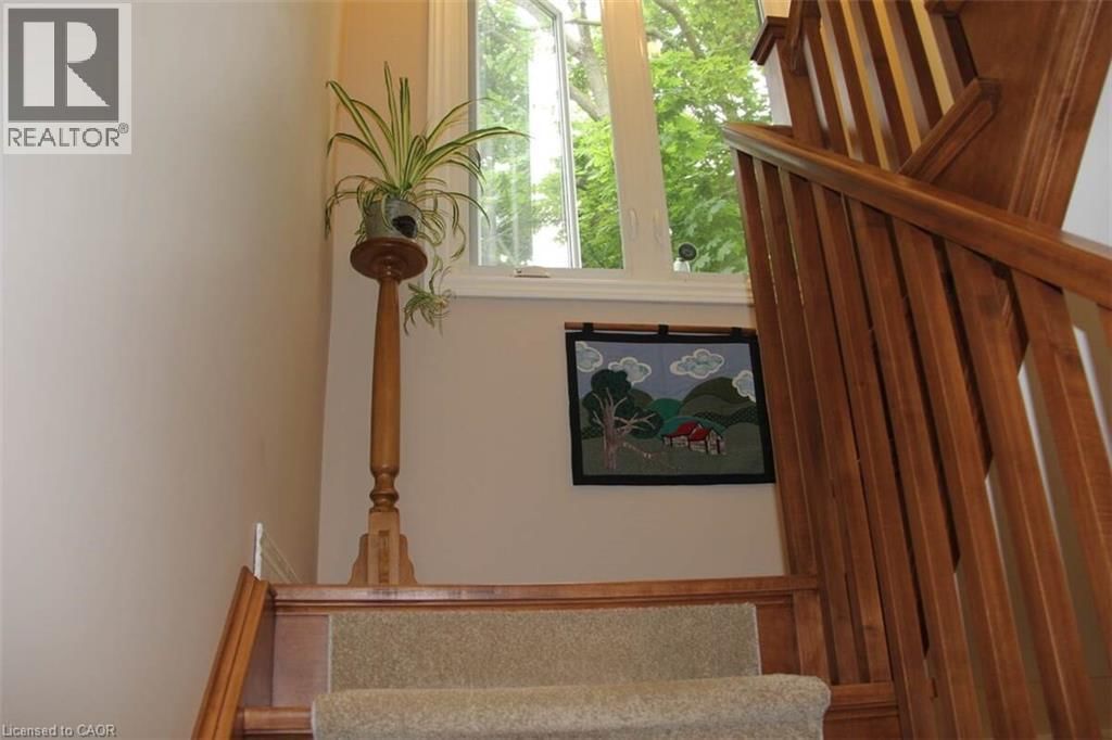 46 CLARA CRESCENT Image 19