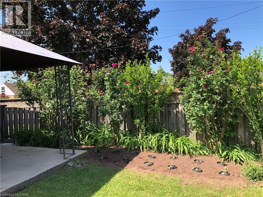 54 BINGHAM ROAD Image 48