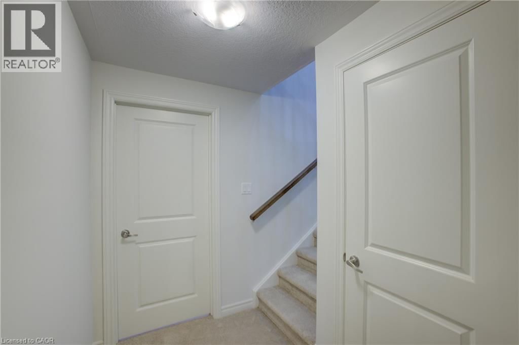 160 ELLEN STREET Image 26