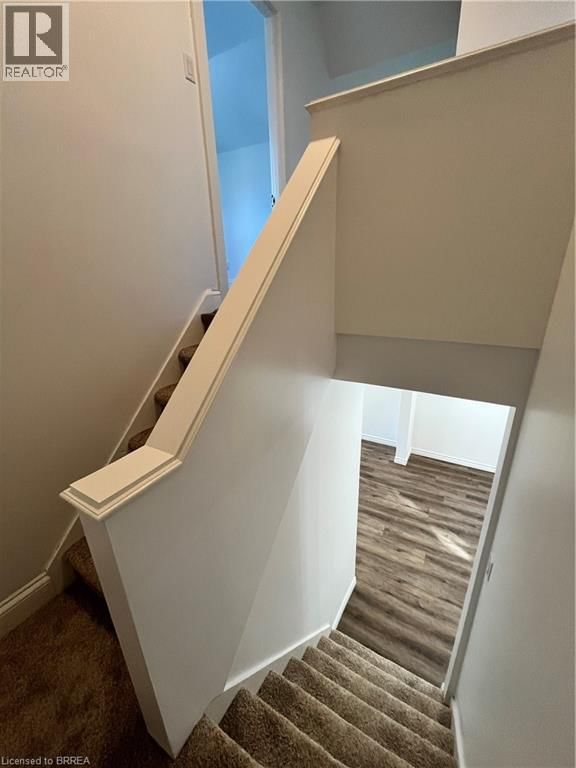 72 KING LANE Image 25