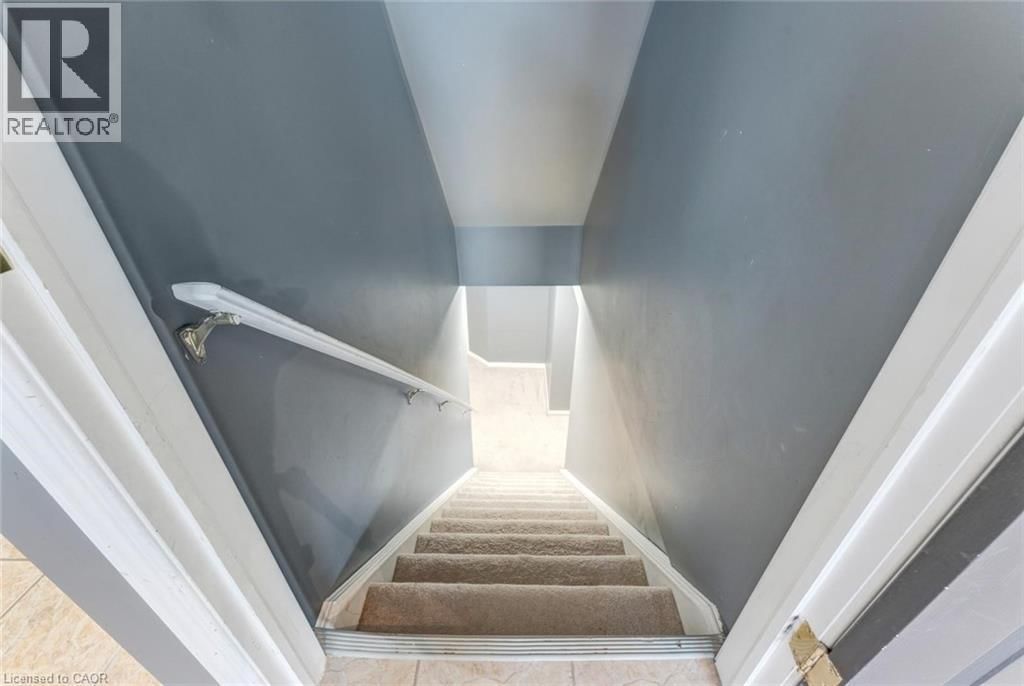 50 CRANBROOK STREET Image 37