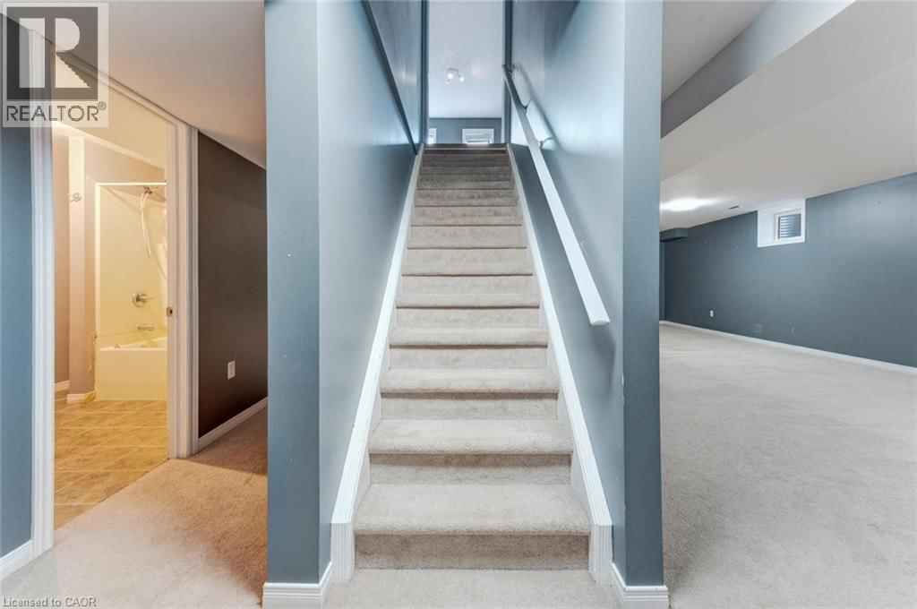 50 CRANBROOK STREET Image 38