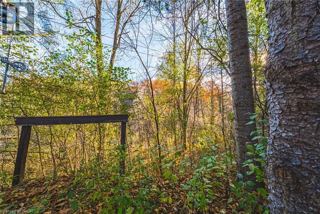 1296 MINERAL SPRINGS ROAD Image 13